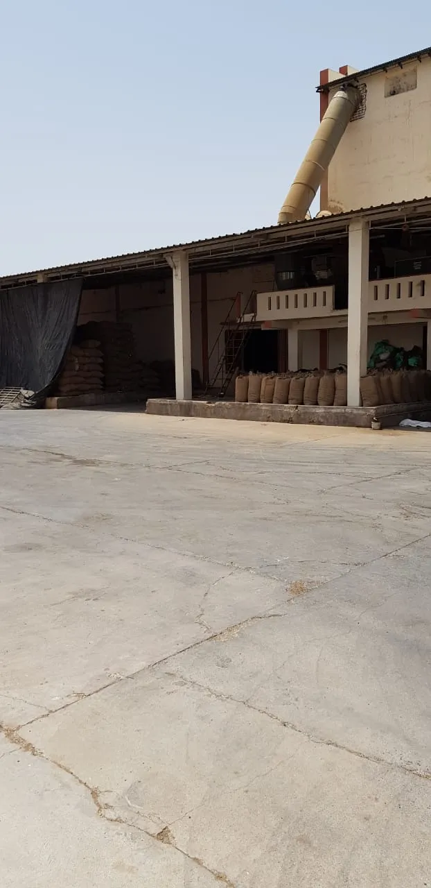 Mahadev Agro Impex 2